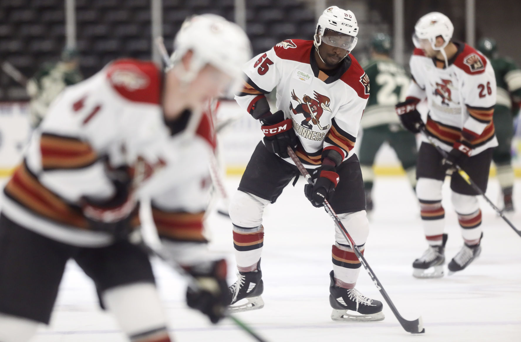 Tucson Roadrunners vs Iowa Wild